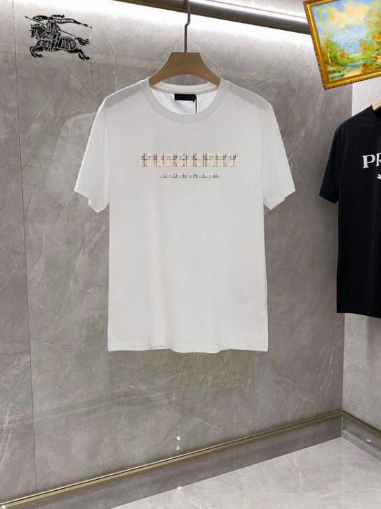 Picture of Burberry T Shirts Short _SKUBurberryS-4XL25tn0720393
